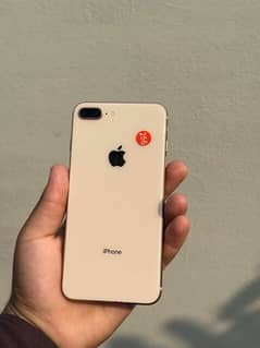 8 plus non pta