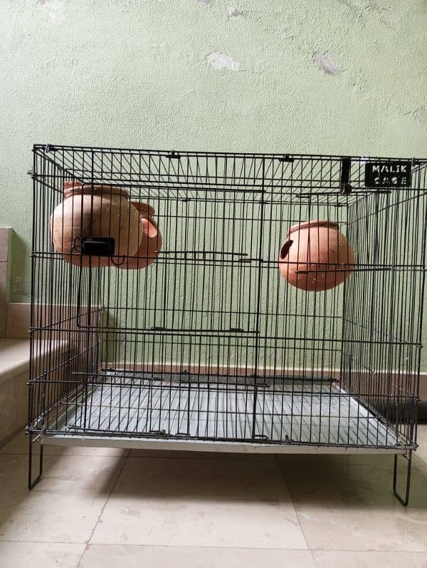 Birds cage 0