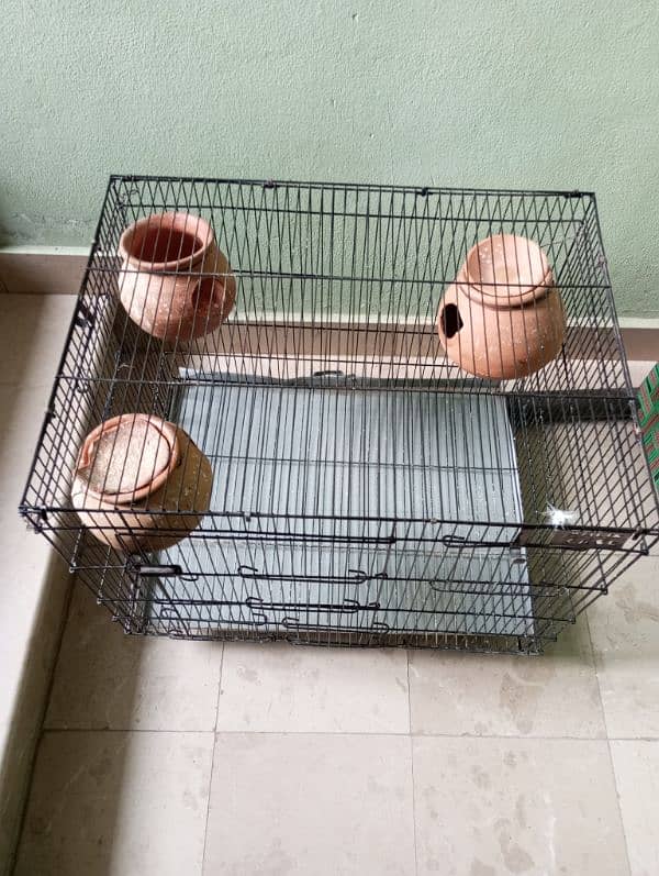 Birds cage 1