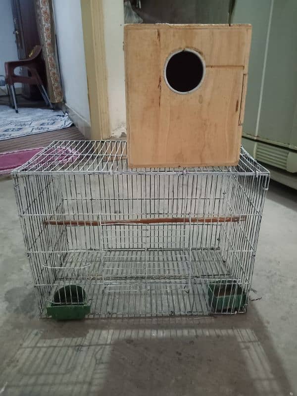 Coctail Cage With baby box 1