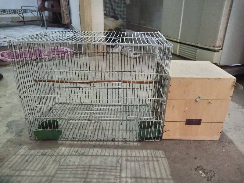 Coctail Cage With baby box 2