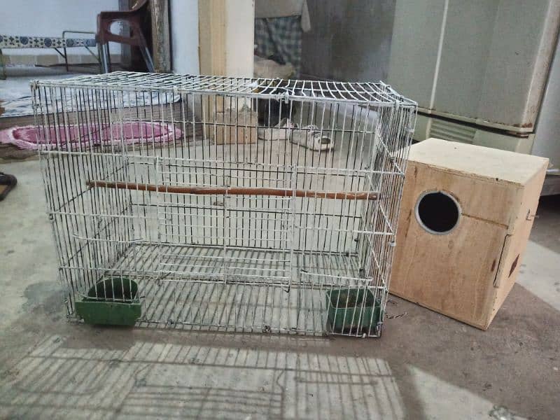 Coctail Cage With baby box 3