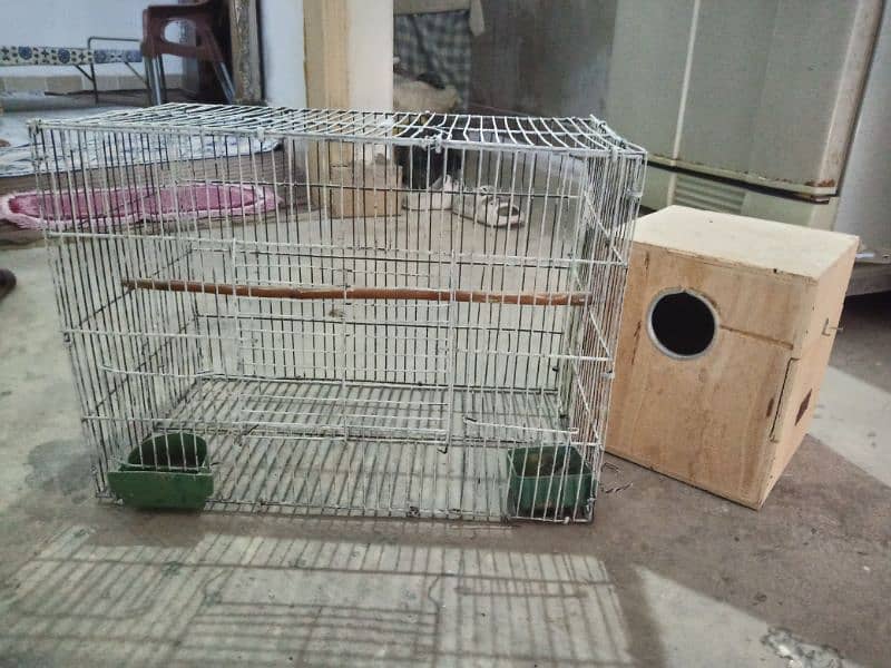 Coctail Cage With baby box 4