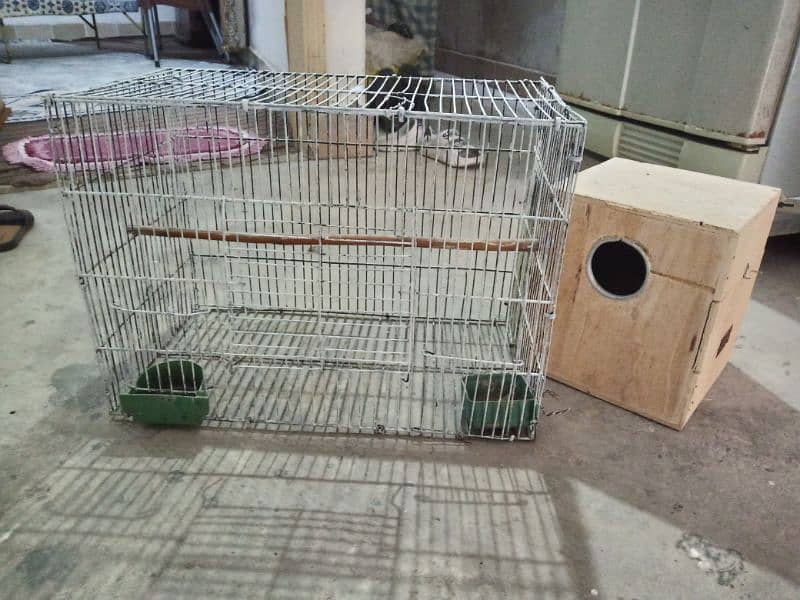 Coctail Cage With baby box 5