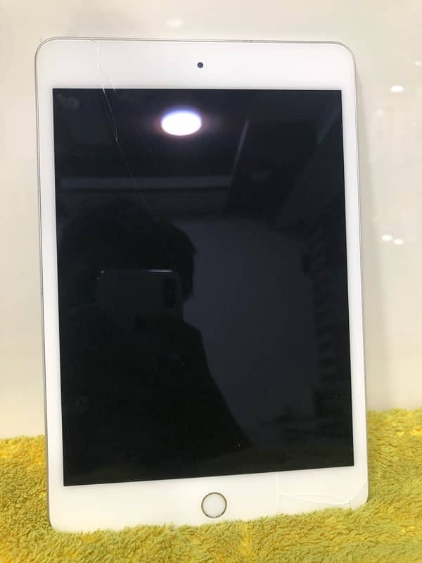 iPad Mini 5 4