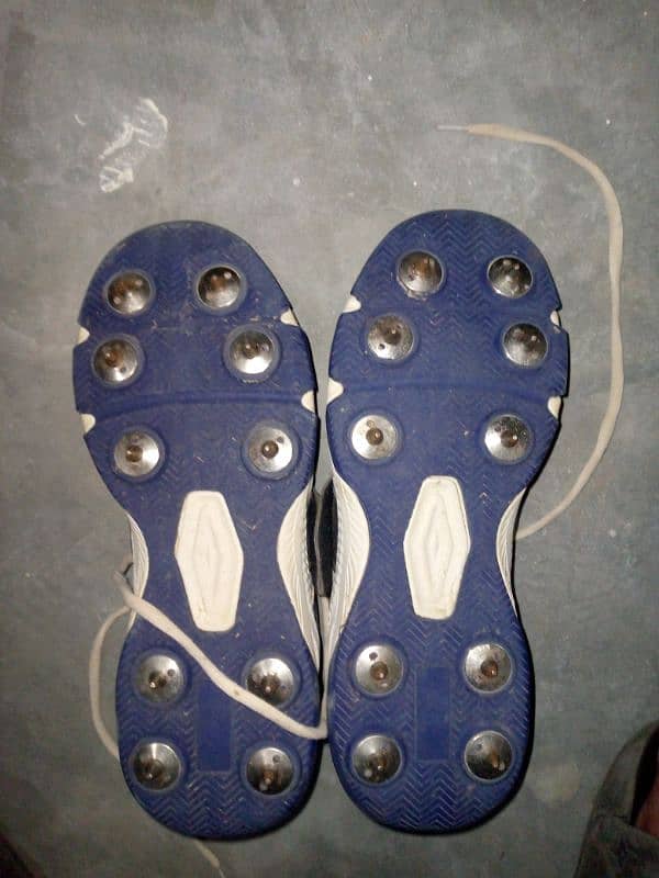 Original CA spikes + grippers 4