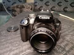 canon 700D touch screen 50mm lens