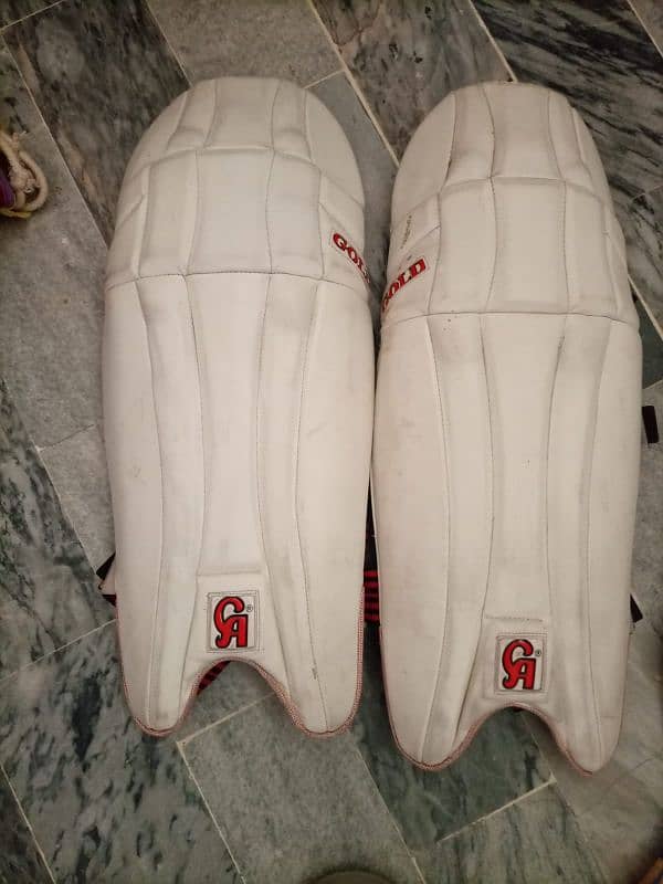 Batting pads 2