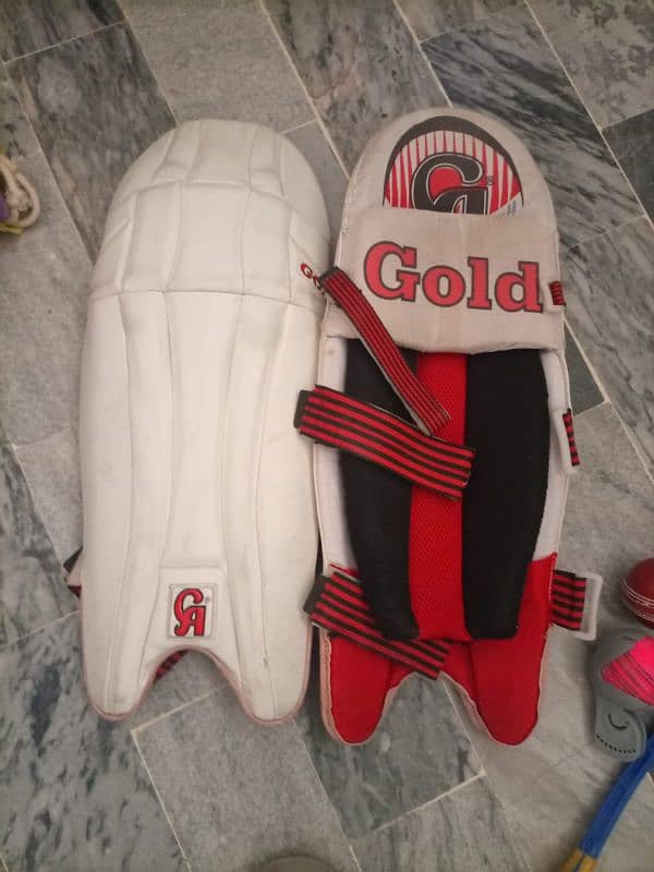 Batting pads 3