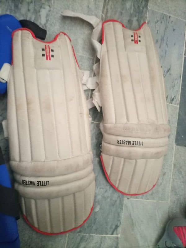 Batting pads 4