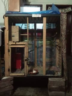 Birds and parrot cages urgent for sale