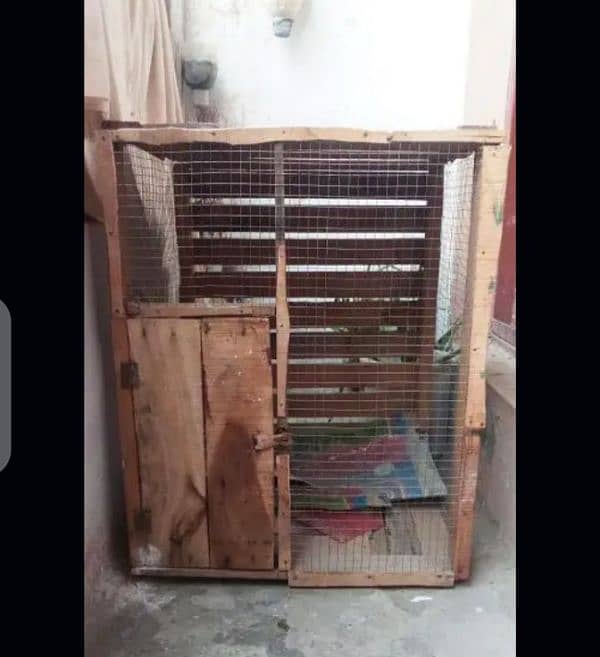 Birds and parrot cages urgent for sale 1