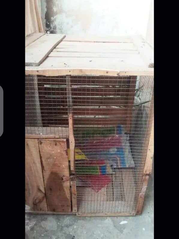 Birds and parrot cages urgent for sale 2