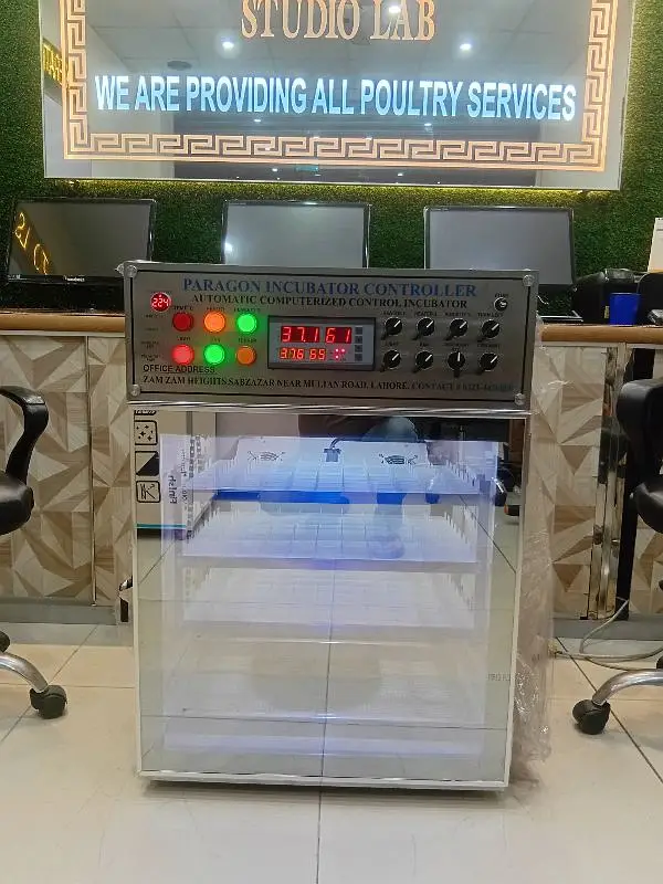 250eggs incubator Fully Automatic Machine — photo 3
