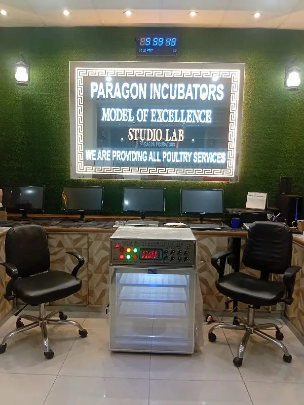 250eggs incubator Fully Automatic Machine — photo 5