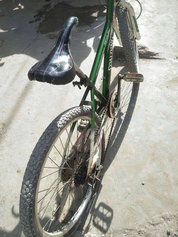 cycle for Sale 3