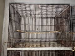 love Birds cage