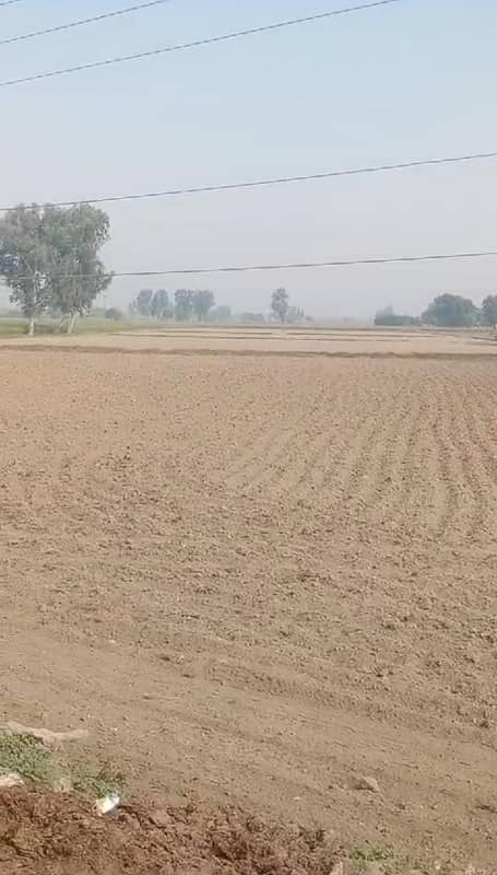 80 KANAL AGRICULTURE LAND FOR SALE 0