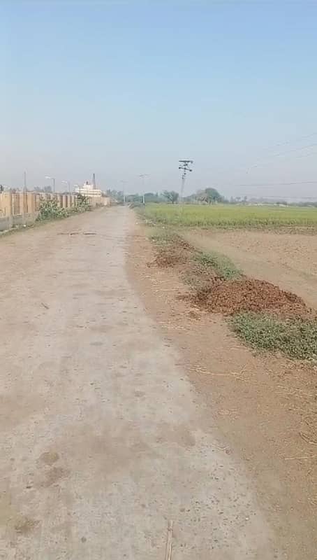 80 KANAL AGRICULTURE LAND FOR SALE 1