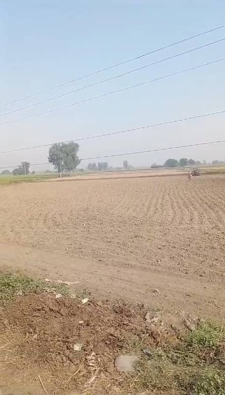 80 KANAL AGRICULTURE LAND FOR SALE 4