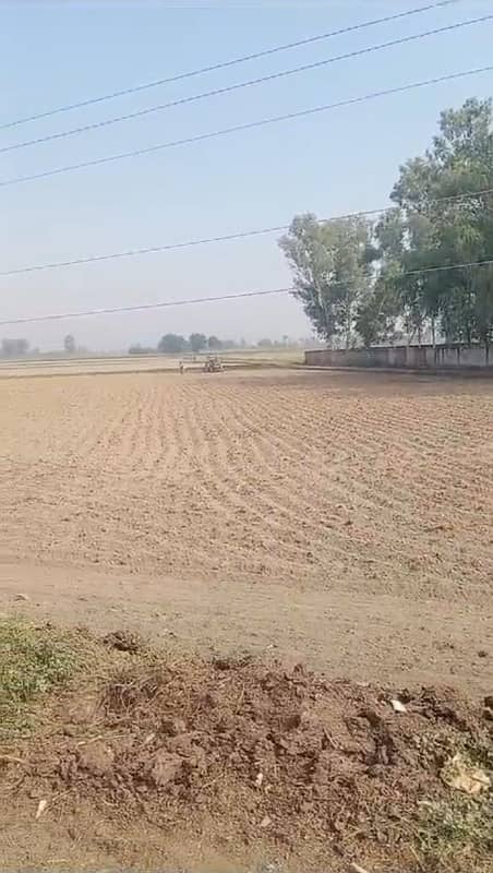 80 KANAL AGRICULTURE LAND FOR SALE 7