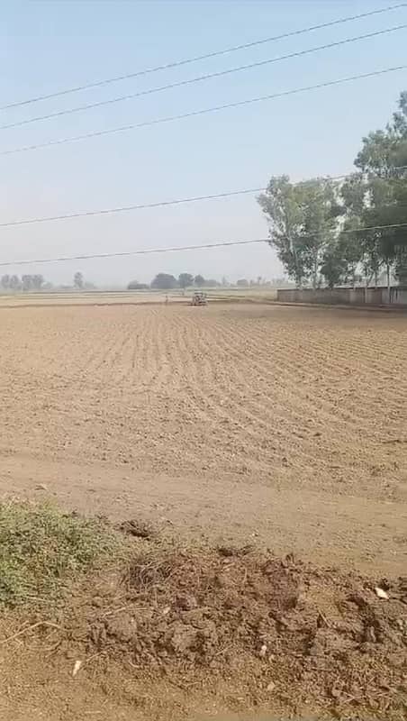 80 KANAL AGRICULTURE LAND FOR SALE 8