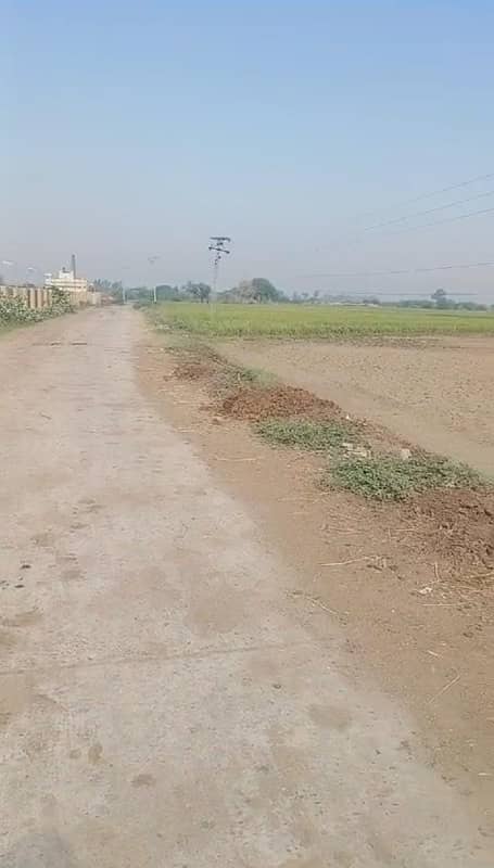 80 KANAL AGRICULTURE LAND FOR SALE 13