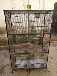 birds cage