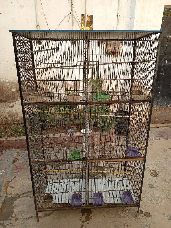 birds cage 0