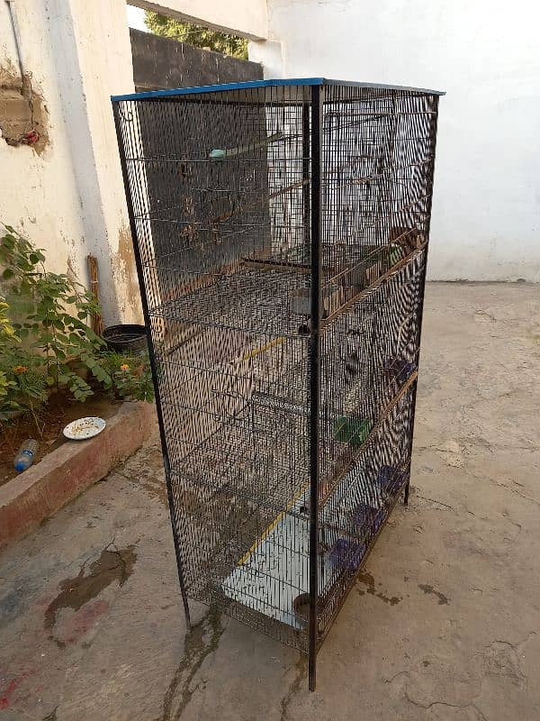 birds cage 2