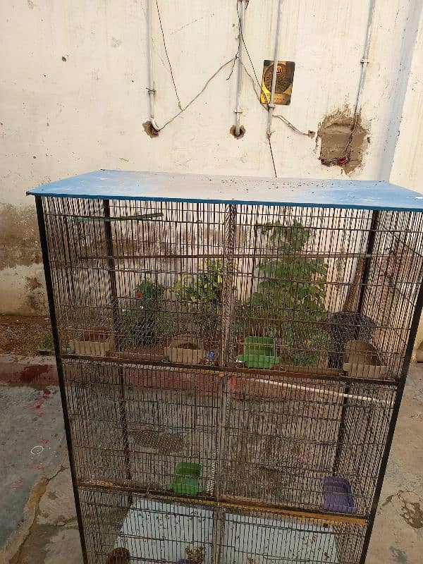 birds cage 3