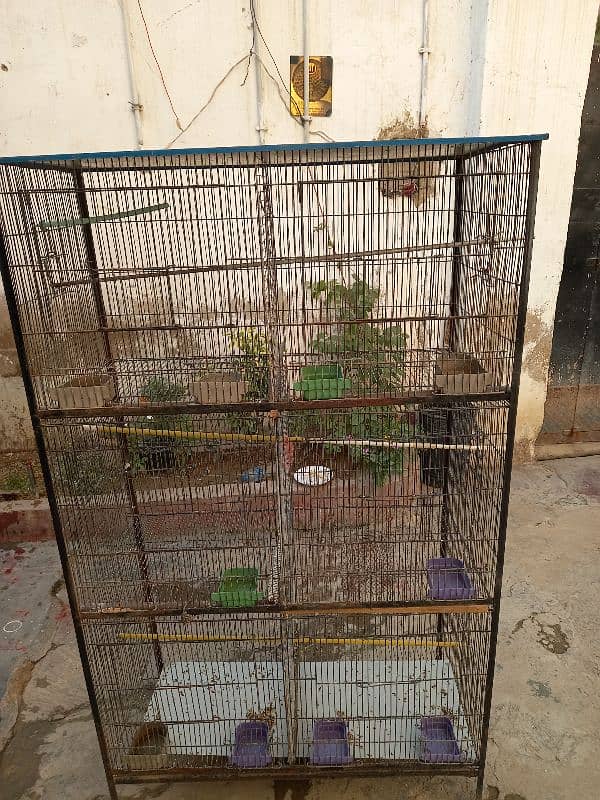 birds cage 4