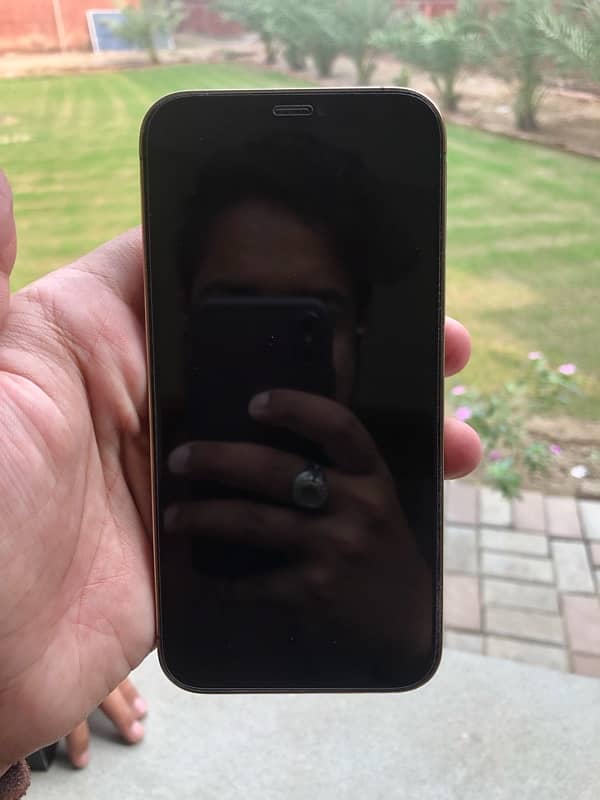 IPhone 12 pro 256 GB Double PTA Approved 5