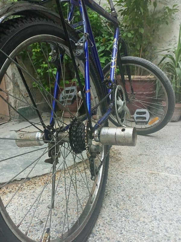 Phoenix Beclycle double gear in good condition 2