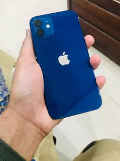 Iphone 12 128gb PTA Approved