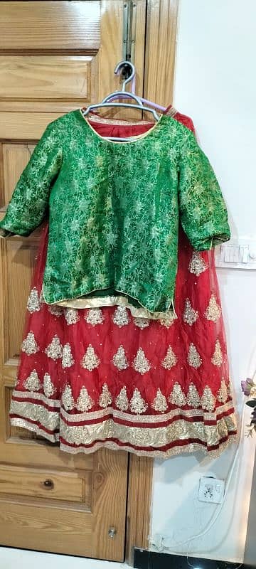 One time wear indian embroidered wedding lehang choli dupta 2