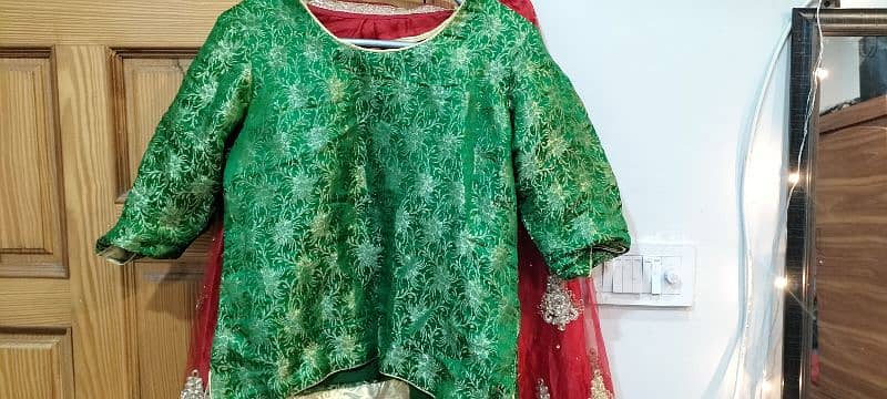 One time wear indian embroidered wedding lehang choli dupta 4