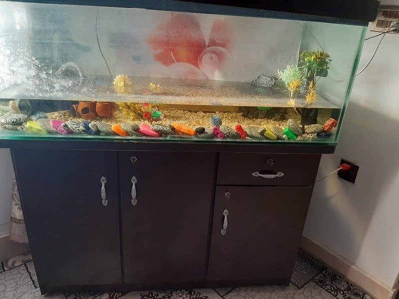 aquarium with  furniture decoration 2