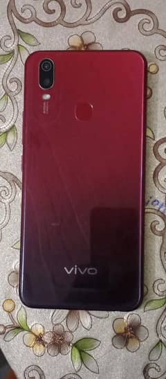 vivo