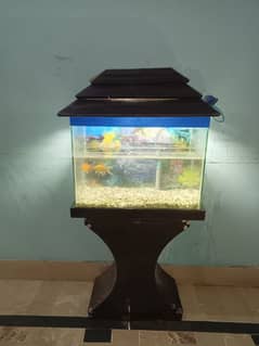 Aquarium