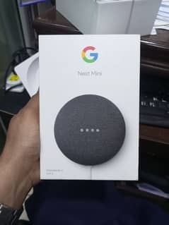 Google Nest Mini New