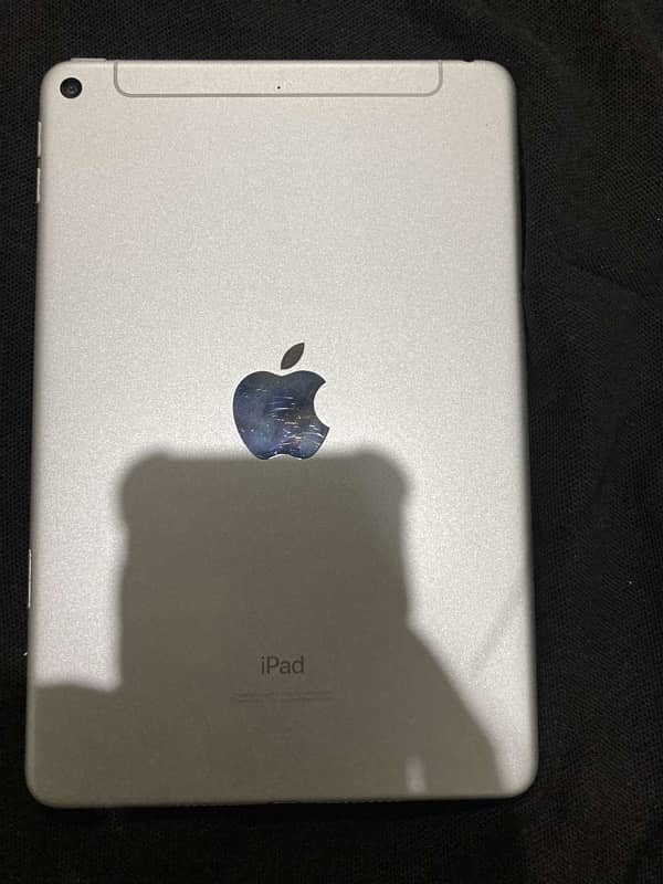 iPad mini 5   256gb 0