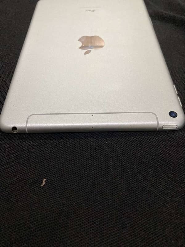 iPad mini 5   256gb 2