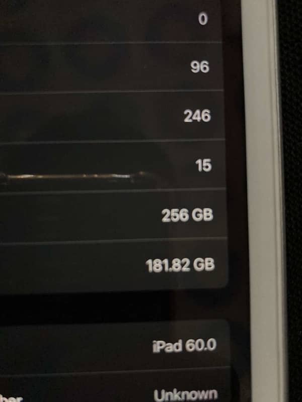 iPad mini 5   256gb 5