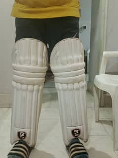 Cricket pads