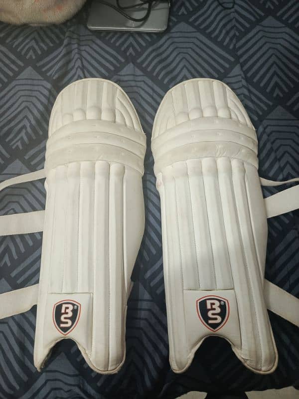 Cricket pads 5