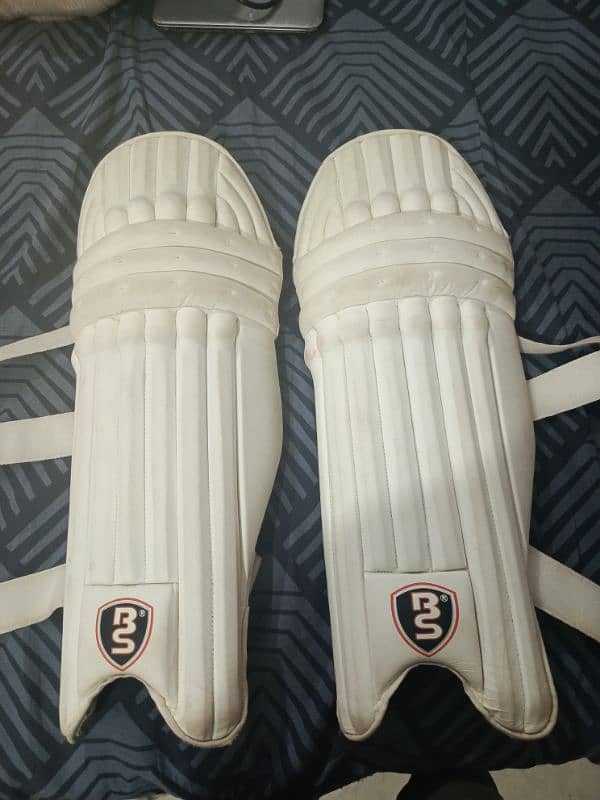 Cricket pads 6