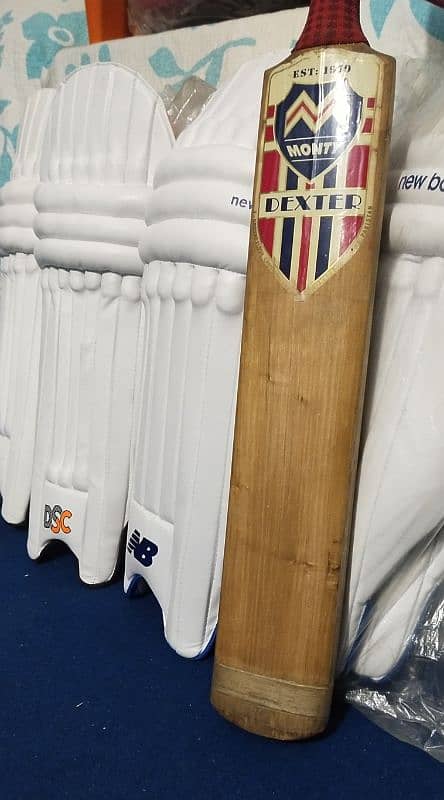 CRICKET PADS 3