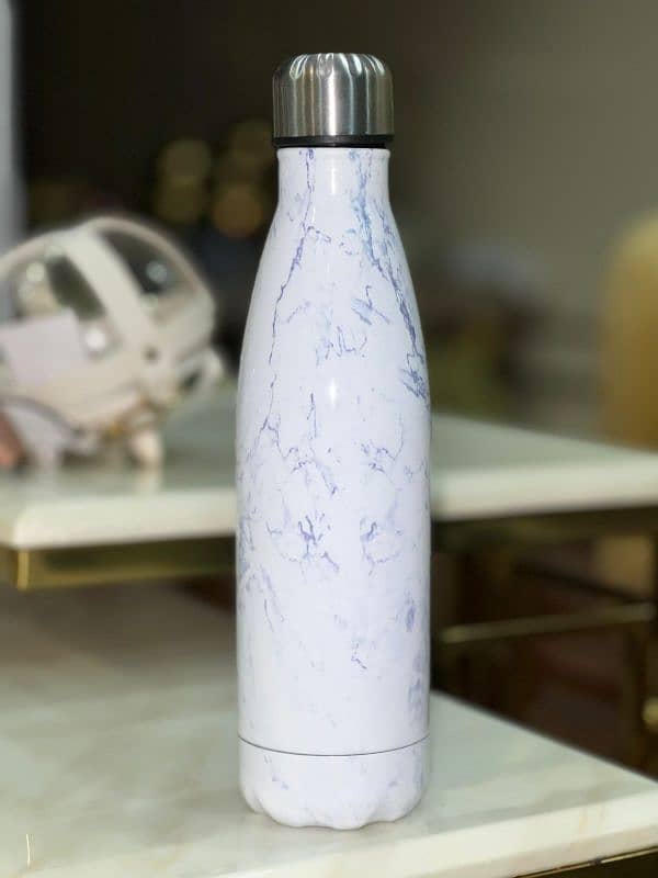 Stainless Steel Water Bottle 2