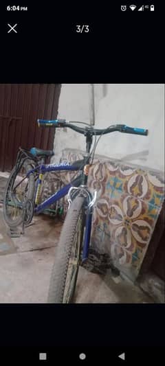 bicycle